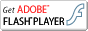 FLASH PLAYER �_�E�����[�h