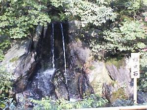 ���t�i��΁j�����o���Ă���悤�Ɍ�����