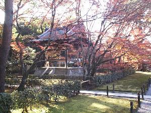 ���t�i�������j