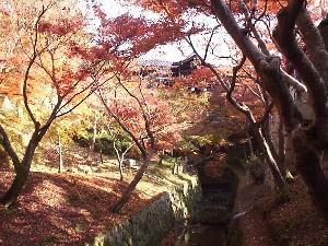 �������i�g�t�P�j