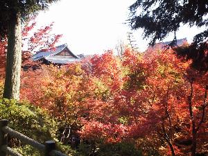 �������i�g�t�Q�j