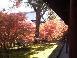 �������i�g�t�R�j